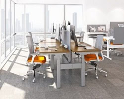 Modern office benching stations with dividers for collaborative workspaces.