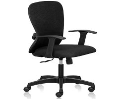 Boss Cares High Back Executive Adjustable -3 paddle