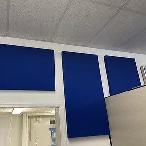 Blue acoustical panels installed on office walls for sound absorption and noise reduction.