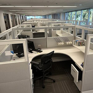 Modern office cubicles with glass partitions in a bright workspace.