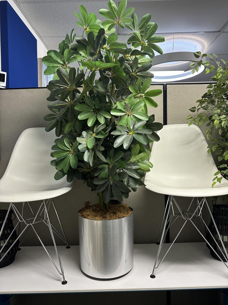 5ft tall artificial plant 12in steel base