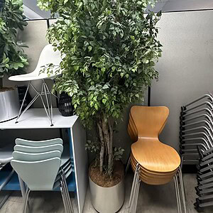 Artificial 8ft tall plant with 18-inch steel base for indoor decor.