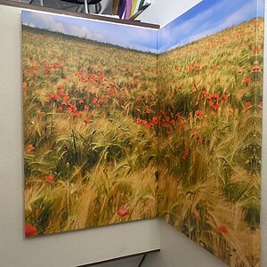 Field of flowers canvas wall art for home decor.
