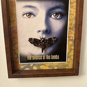 Framed artwork featuring a woman's face with a Deathhawk moth covering her mouth, titled "Silence of.