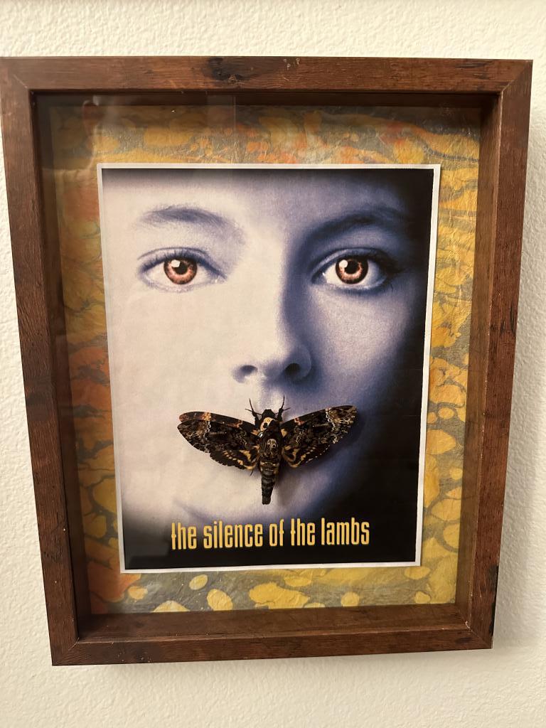 15"X12" Deathhawk Moth "Silence of the Lambs"
