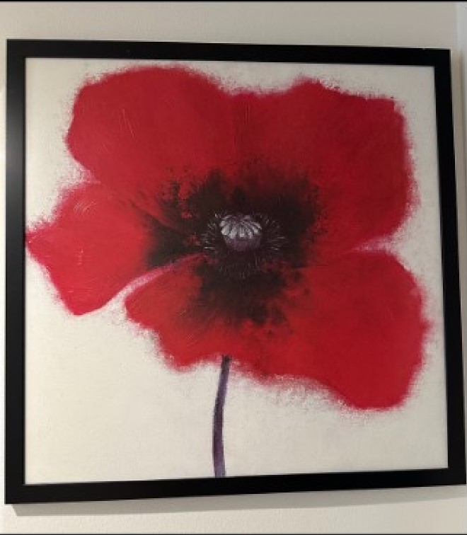 40"x40" Blood red canvas flower, black frame