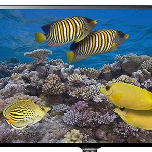 Vibrant tropical fish swimming over coral reef on Cube World USA screen.