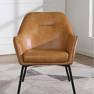 Elegant leather lounge chair for modern interiors.