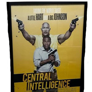 Central Intelligence framed poster featuring Auntee Hart and A Big Johnson with guns.
