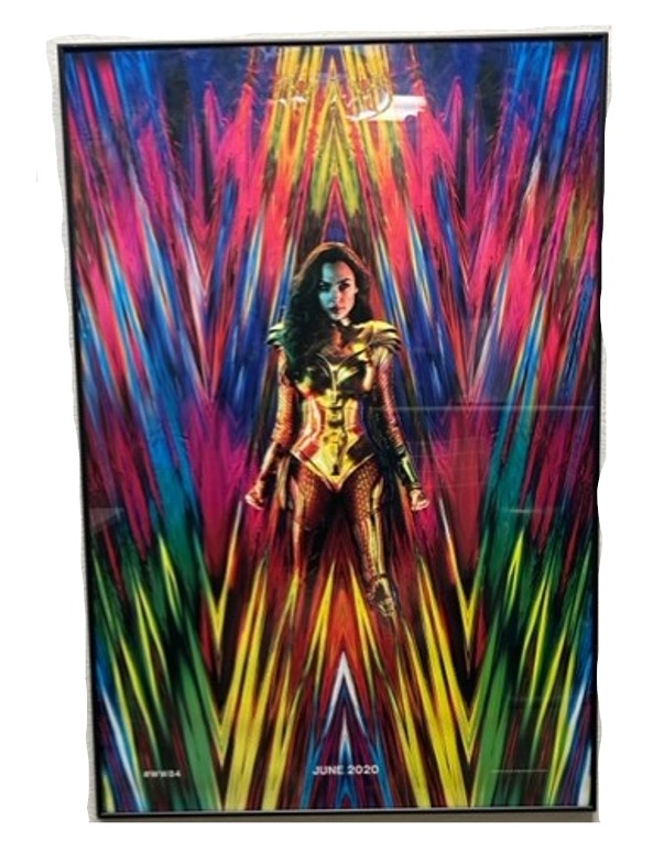 Wonder Women 27inx40in