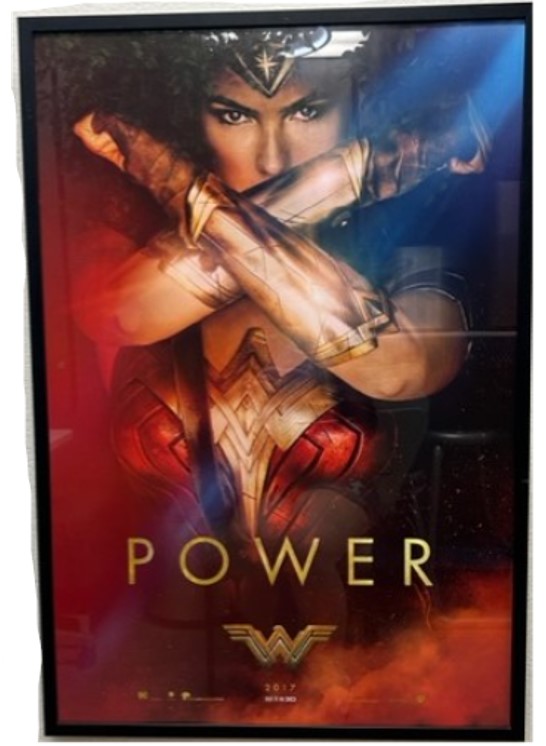 Wonder Women Power Poster 27inx40in
