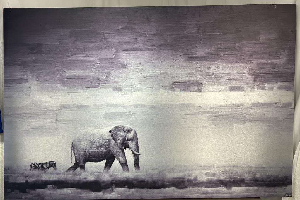 40x60 Elephant zebra Canvas Photo