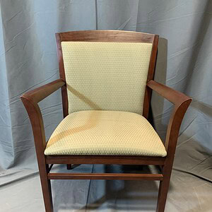 Guest chair with wooden frame and cushioned seat and backrest.