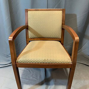 Geiger Guest Chair with wooden frame and cushioned seat and backrest.