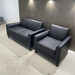Elegant black leather sofa and loveseat pair for stylish living room decor.