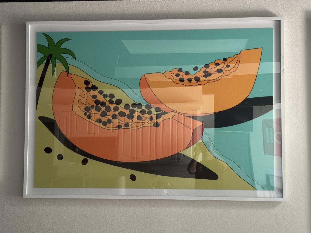 Papaya large orange and back seed Pop Art