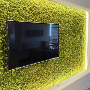 Resolution 56-inch LG TV mounted on a vibrant green moss wall for immersive viewing experience.