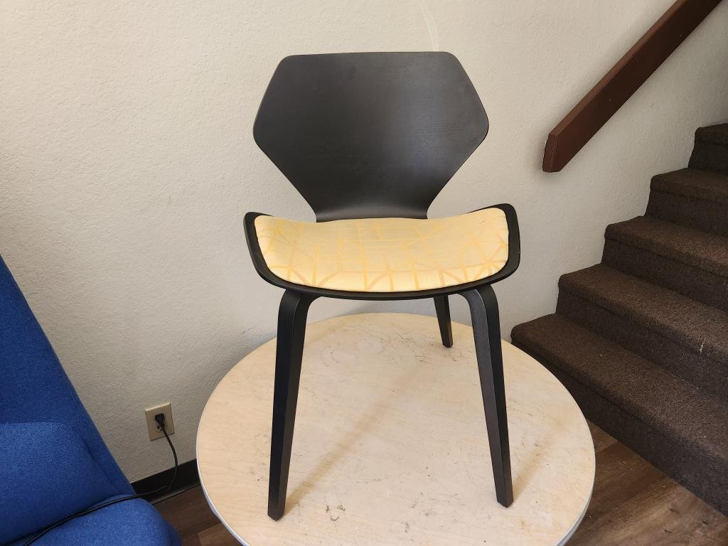 Davis Ginko Collection black and gold Chair