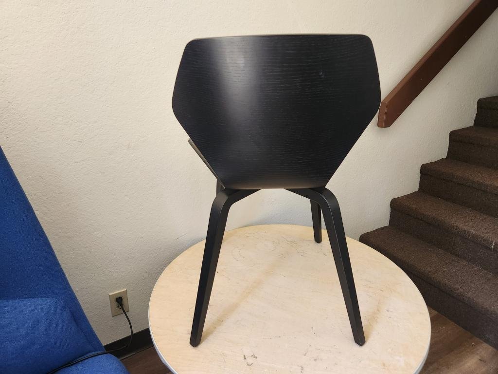 Davis Ginko Collection black and gold Chair