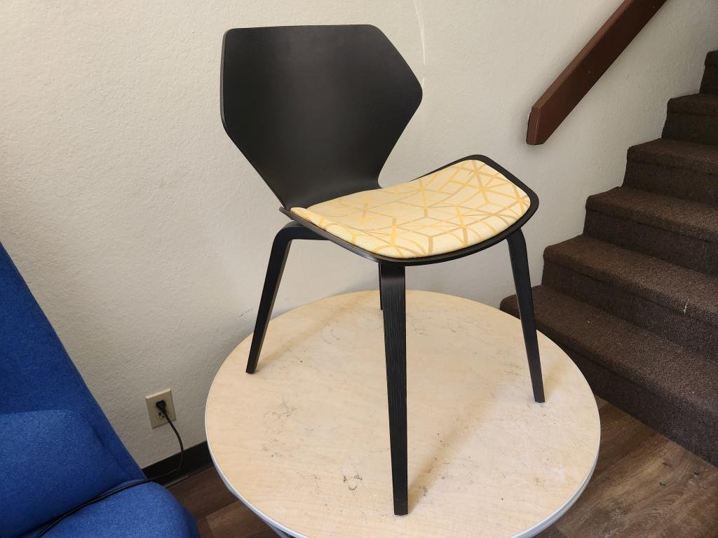 Davis Ginko Collection black and gold Chair