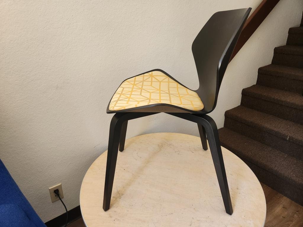 Davis Ginko Collection black and gold Chair