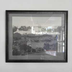 Wall Art Piece 25 x 21