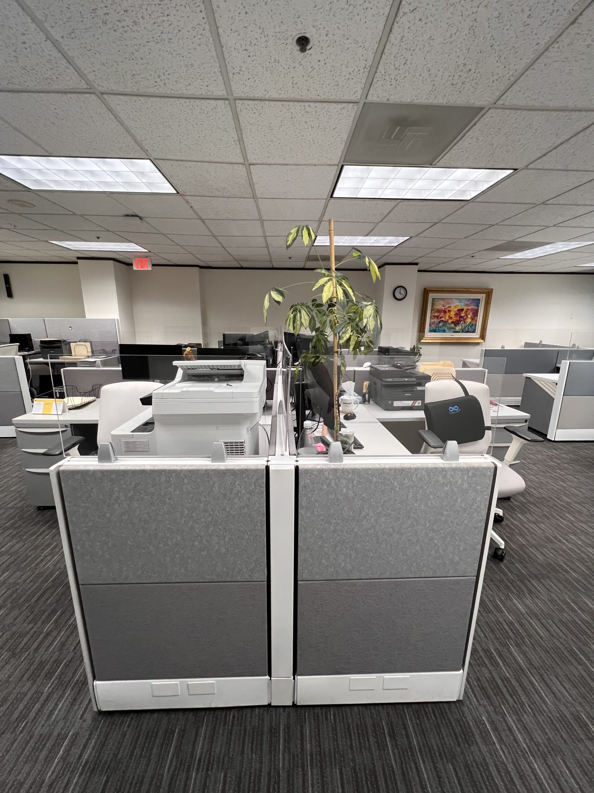 Ethospace 38” with 12” glass stacker 6’x6’ and 6’x4’