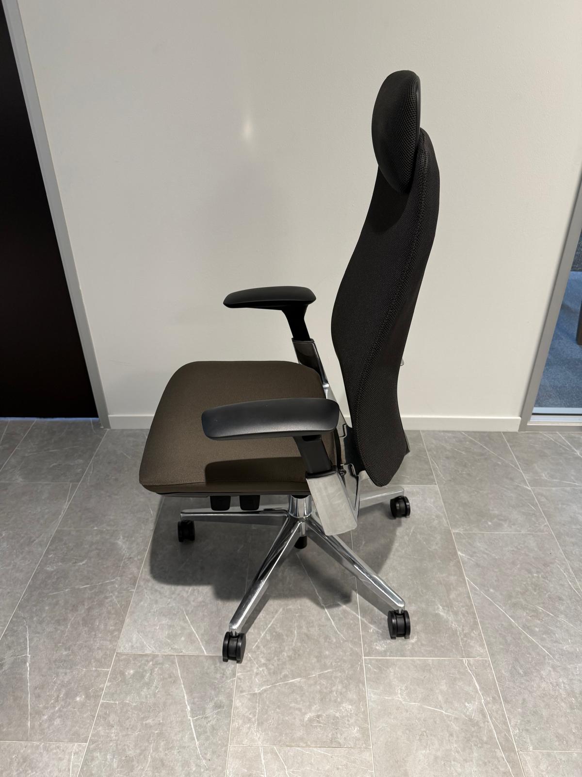 Haworth Fern Executive Ergonomic Chair with Headrest