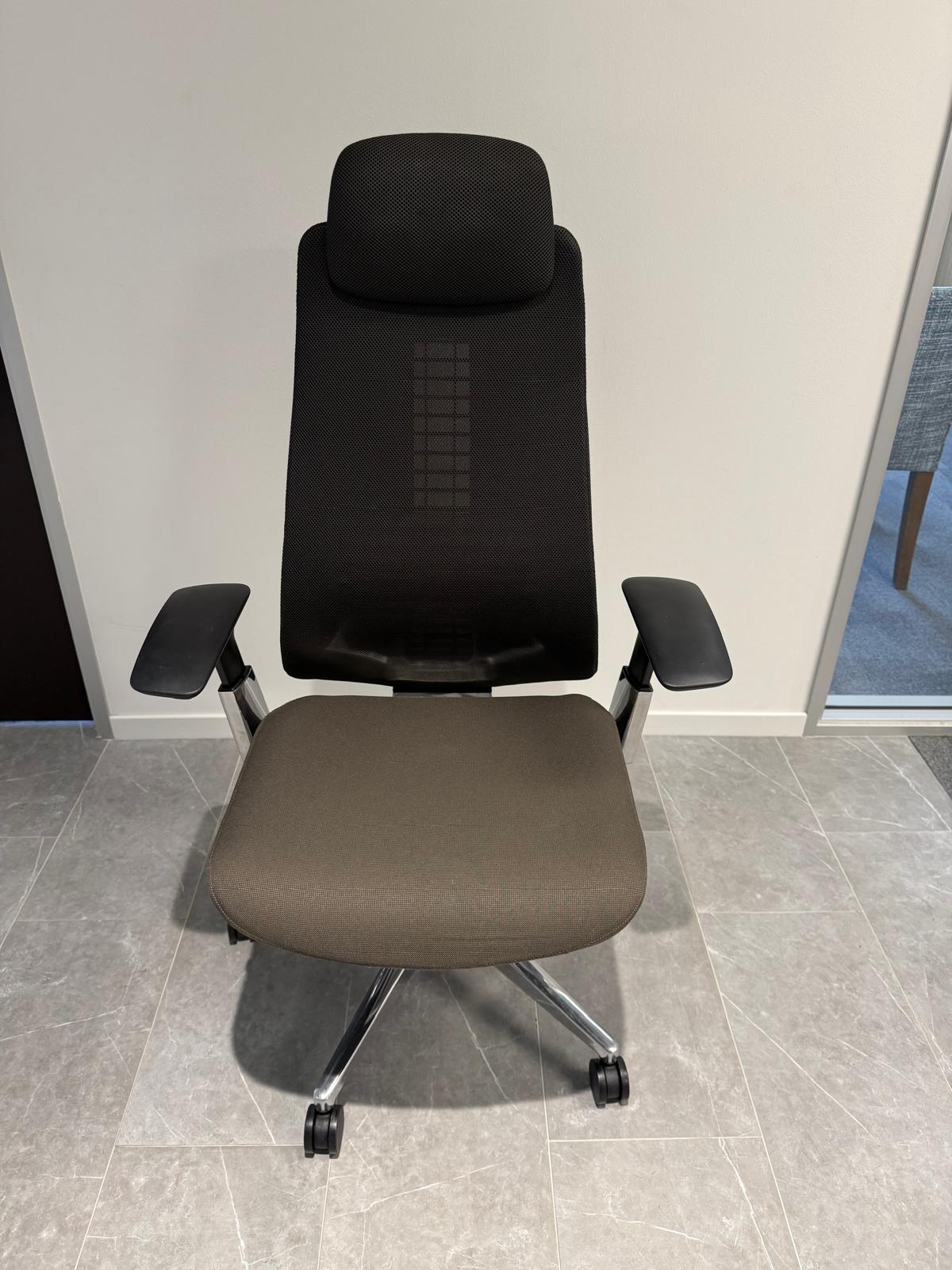 Haworth Fern Executive Ergonomic Chair with Headrest