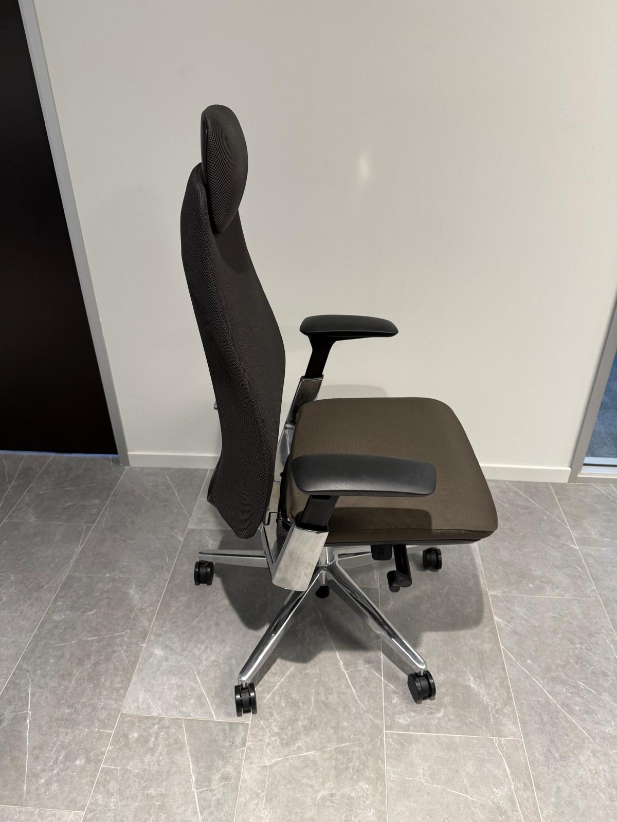 Haworth Fern Executive Ergonomic Chair with Headrest