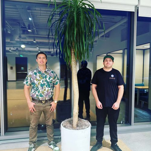 Commercial brokers and partners at Cube World USA with a large indoor plant.