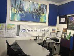 Modern office space with desk, chairs, and artwork at Cube World USA.