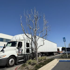 Moving truck parked during office relocation and decommissioning process.