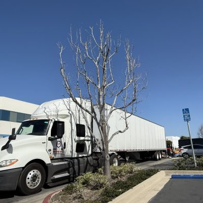 Moving truck parked during office relocation and decommissioning process.
