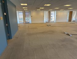 Modern office space with new flooring and lighting, ready for occupancy after relocation.