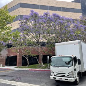 Commercial delivery truck parked near office building with purple flowering trees.