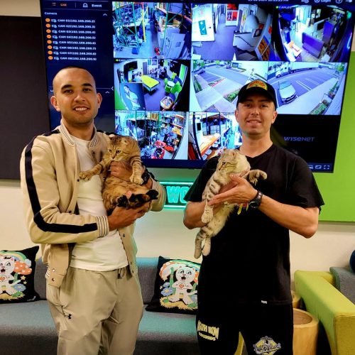 Security personnel with cats at Cube World USA.